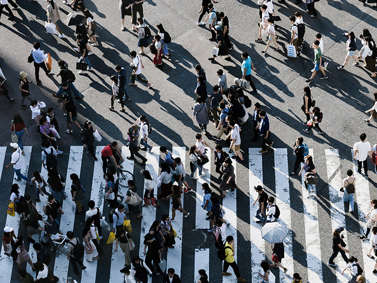 Segmentation