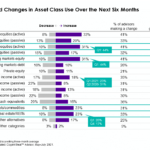 Anticipated Changes to Asset Class Use Next Six Months
